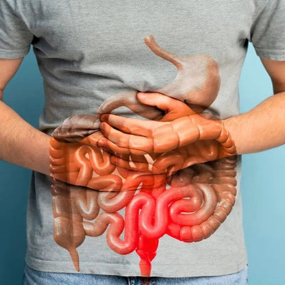 MERIVU™  - GUT SUPPORT CAPSULE